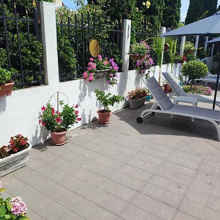 Apartment Divela 3
